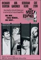 The Night Of The Iguana