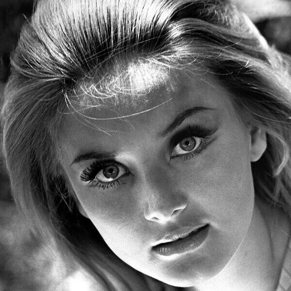 Barbara Bouchet