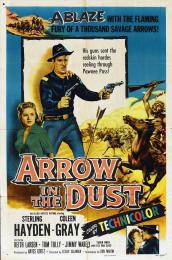 ARROW IN THE DUST